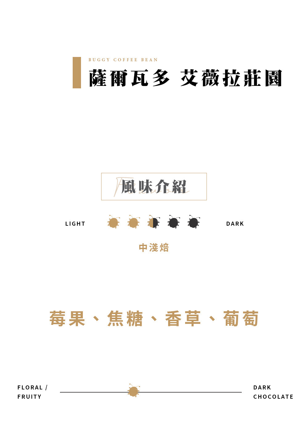 薩爾瓦多 艾薇拉莊園 SHB等級咖啡豆