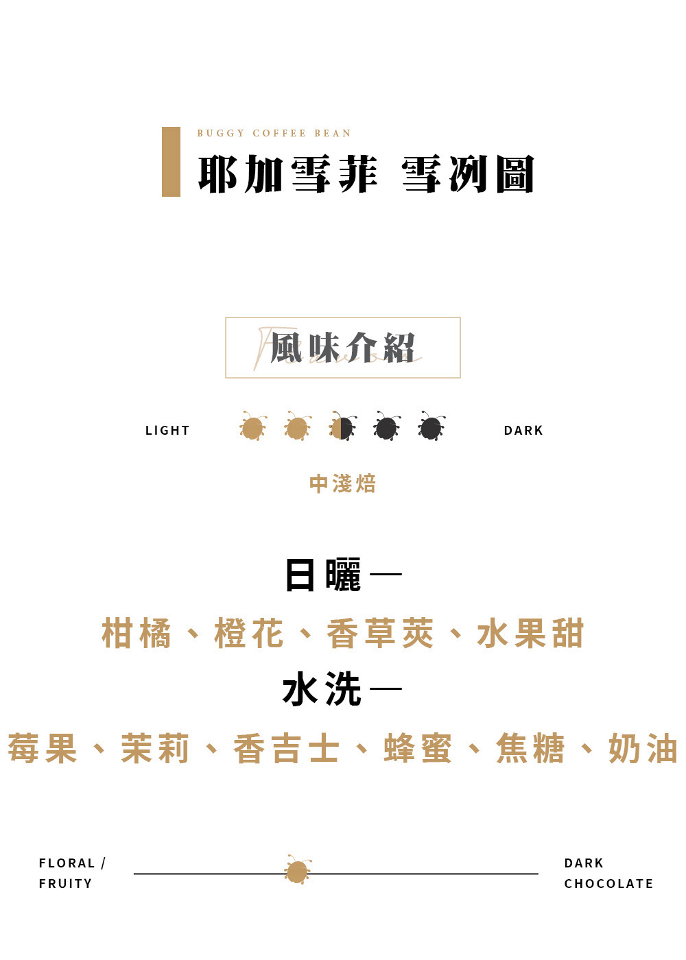 耶加雪菲G1 雪冽圖咖啡豆