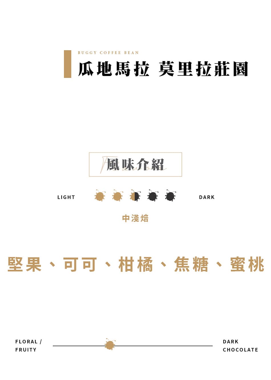 瓜地馬拉 哈拉帕 莫里拉莊園 SHB咖啡豆
