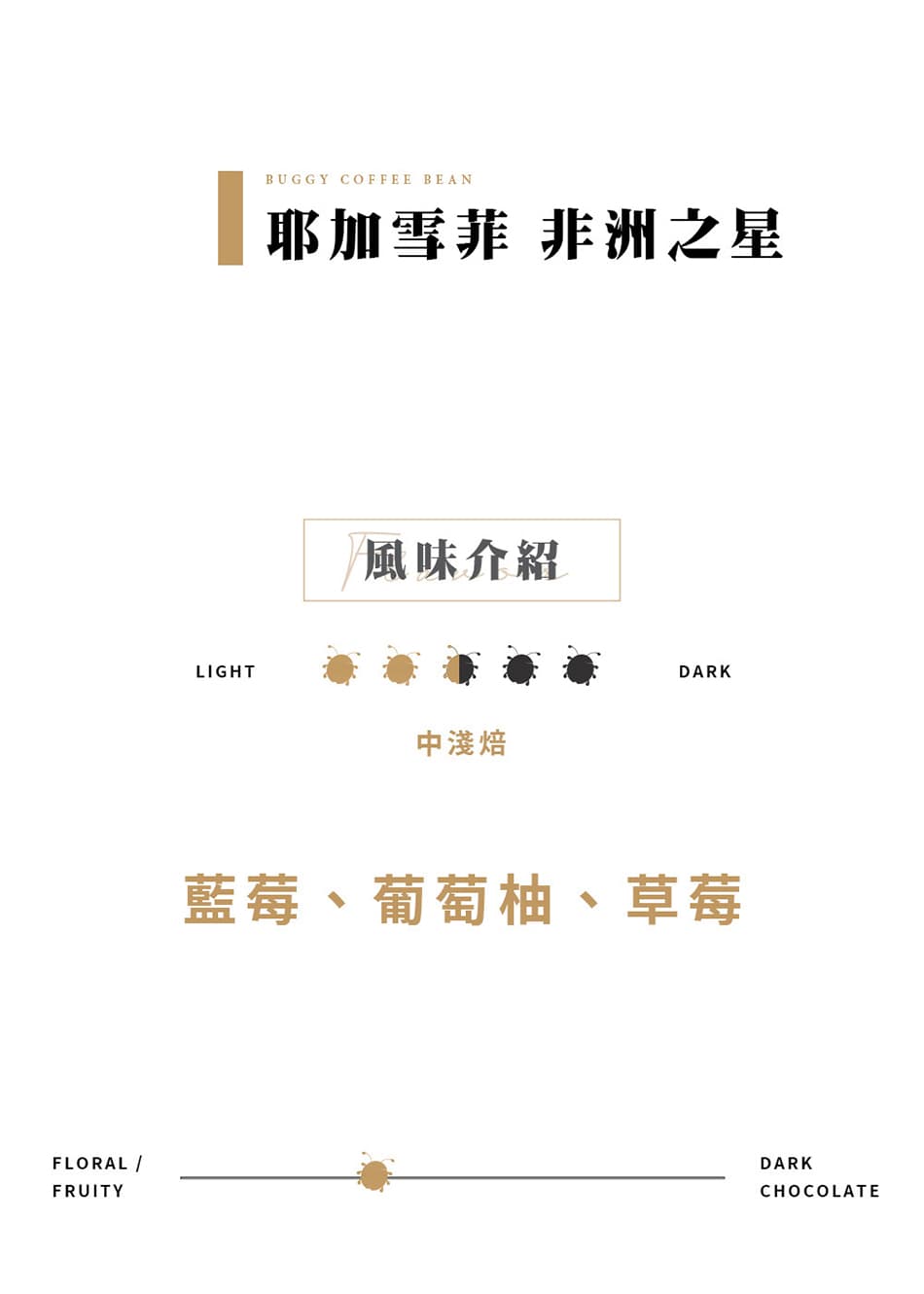 耶加雪菲G1 非洲之星咖啡豆