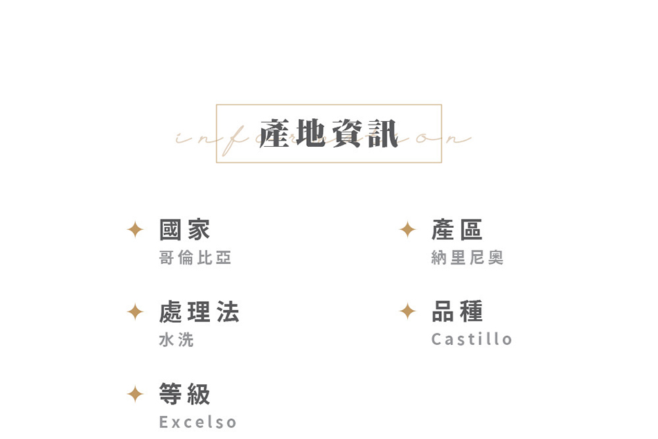 哥倫比亞 伊娃咖啡豆